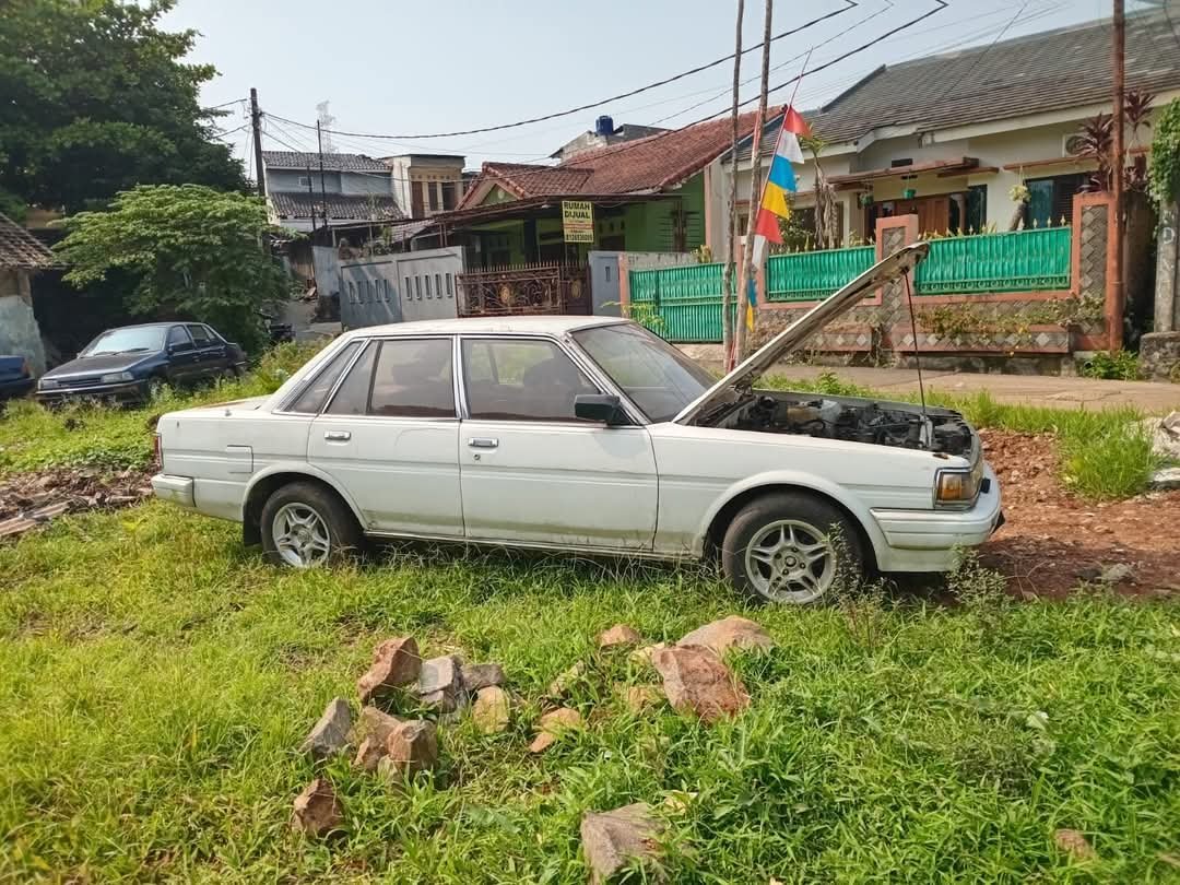 WhatsApp Image 2025-03-03 at 10.47.22